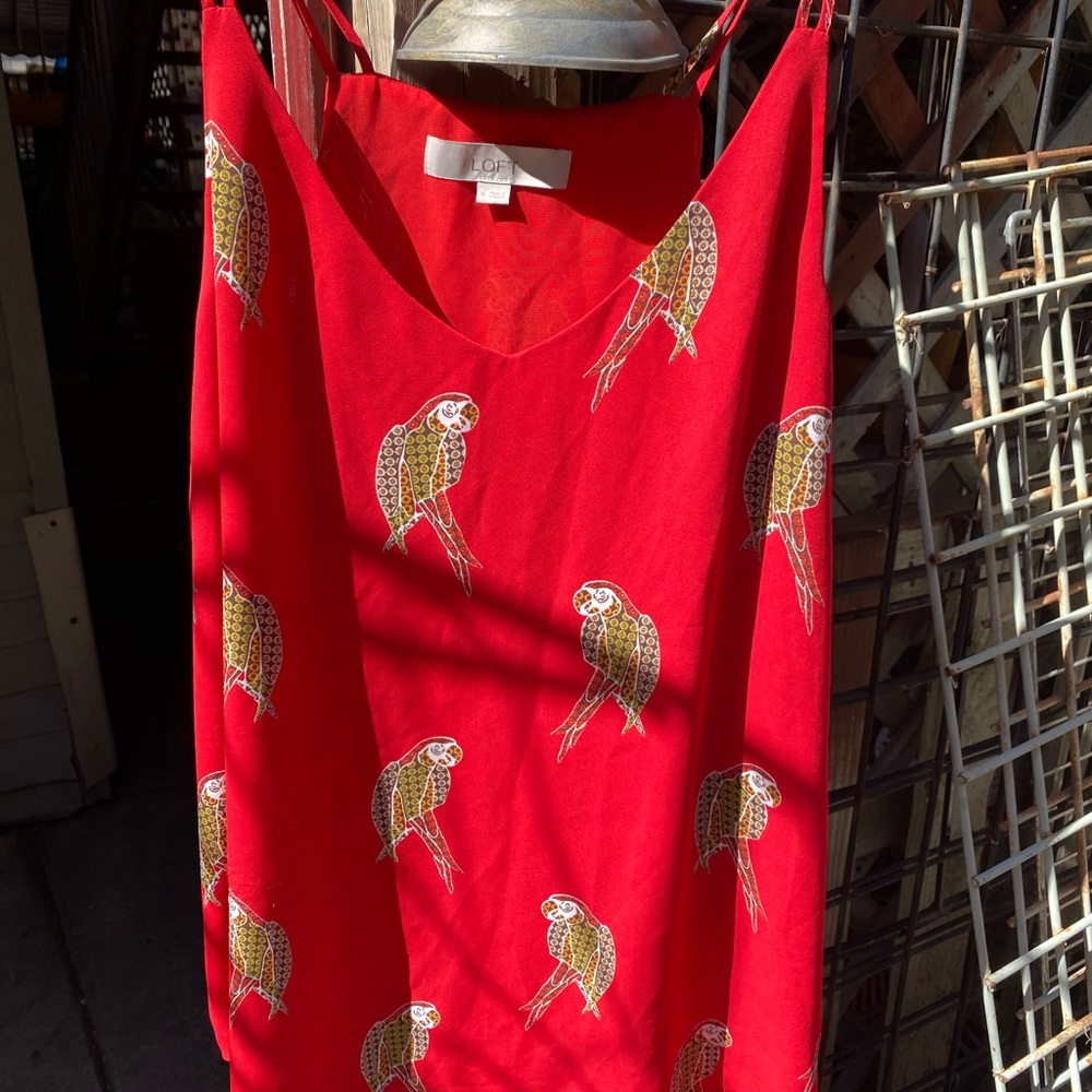 Loft Cami Red With Parrots